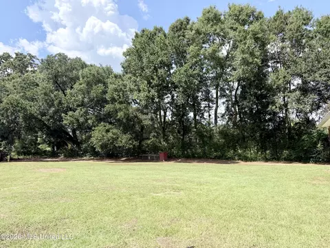 Exterior - 133 Trevor Ln, Lucedale, MS 39452 photo 3 of 4