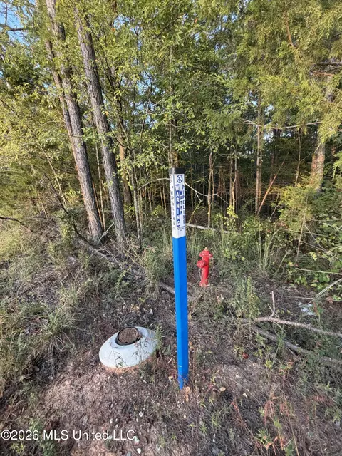 951 Co Rd 331, Falkner, MS 38629 photo 36