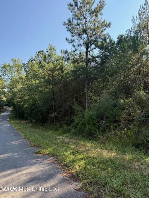 9 Ac Fork Rd, Lucedale, MS 39452 photo 2