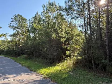 9 Ac Fork Rd, Lucedale, MS 39452 photo 3