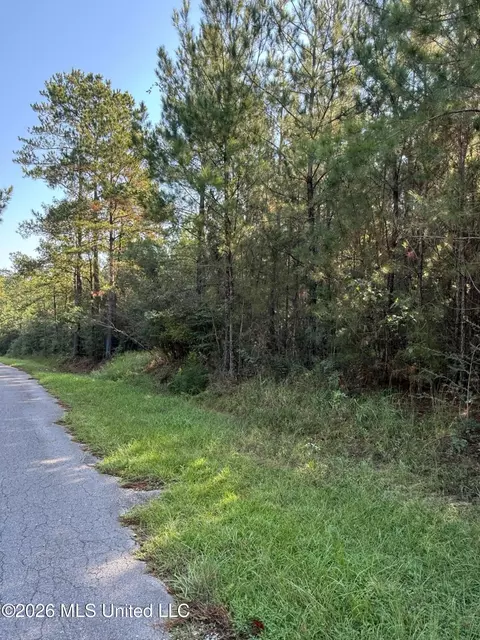 9 Ac Fork Rd, Lucedale, MS 39452 photo 4