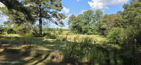 Other - 5174 Highway 98, Mccomb, MS 39648 photo 14 of 17