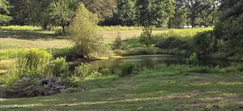 Other - 5174 Highway 98, Mccomb, MS 39648 photo 2 of 17