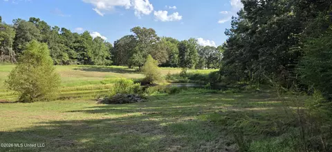Other - 5174 Highway 98, Mccomb, MS 39648 photo 5 of 17