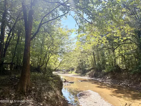 Highway 407, Kilmichael, MS 39747 photo 16