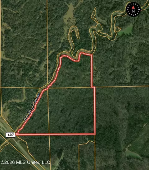 Highway 407, Kilmichael, MS 39747 photo 35