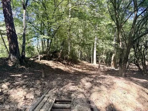 Highway 407, Kilmichael, MS 39747 photo 15