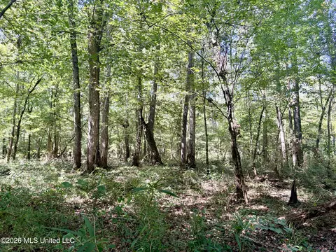 Highway 407, Kilmichael, MS 39747 photo 19