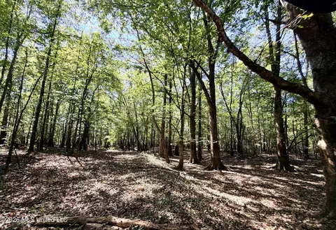 Highway 407, Kilmichael, MS 39747 photo 13