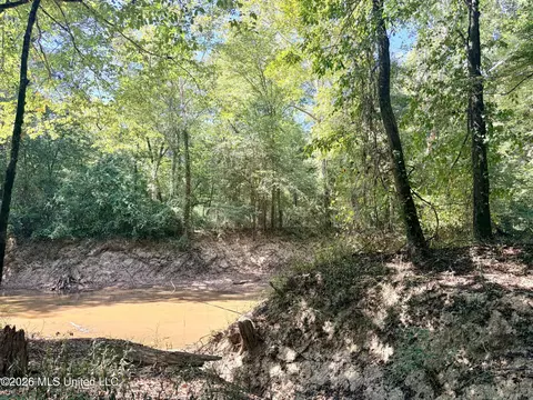 Highway 407, Kilmichael, MS 39747 photo 14