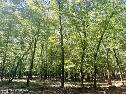 Highway 407, Kilmichael, MS 39747 photo 30
