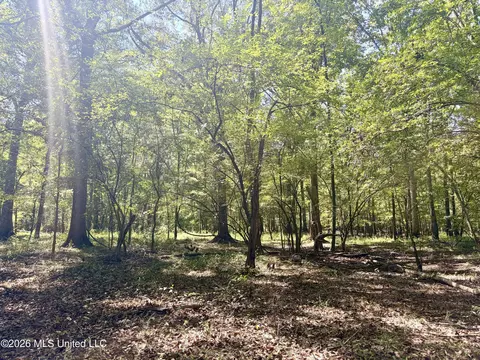 Highway 407, Kilmichael, MS 39747 photo 21