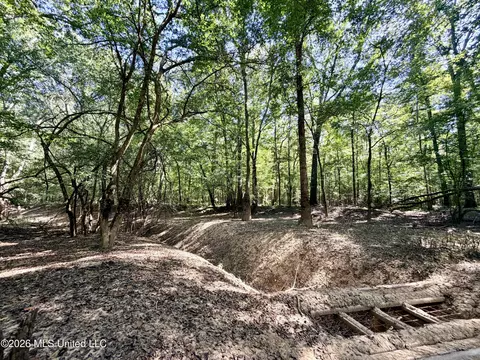 Highway 407, Kilmichael, MS 39747 photo 17