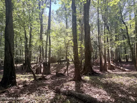 Highway 407, Kilmichael, MS 39747 photo 32