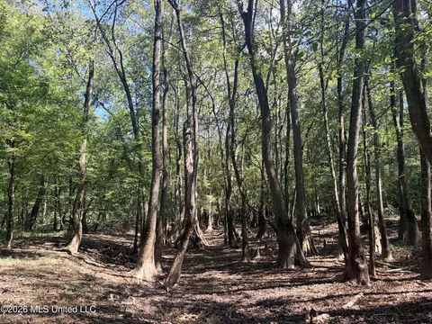 Highway 407, Kilmichael, MS 39747 photo 20