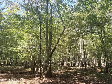 Highway 407, Kilmichael, MS 39747 photo 31