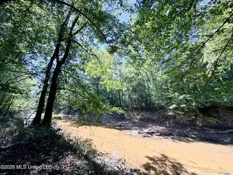Highway 407, Kilmichael, MS 39747 photo 27