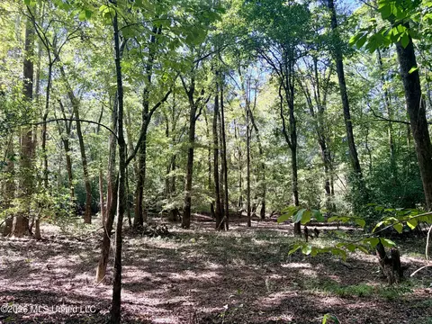 Highway 407, Kilmichael, MS 39747 photo 18