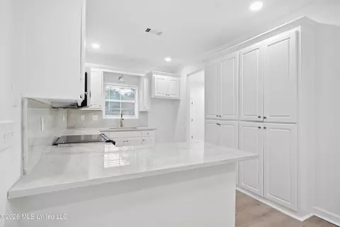 Other - 1007 Riverchase N Dr, Brandon, MS 39047 photo 5 of 12