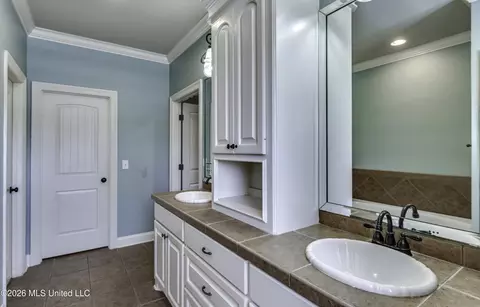 Bath - 515 Turtle Lane Dr, Brandon, MS 39047 photo 7 of 10