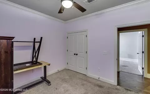 Other - 515 Turtle Lane Dr, Brandon, MS 39047 photo 13 of 17