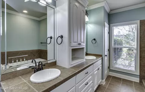 Bath - 515 Turtle Lane Dr, Brandon, MS 39047 photo 6 of 10