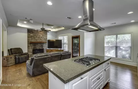 Other - 515 Turtle Lane Dr, Brandon, MS 39047 photo 8 of 17