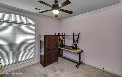 Other - 515 Turtle Lane Dr, Brandon, MS 39047 photo 12 of 17