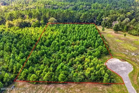 lot50 Plantation Circle Dr, Perkinston, MS 39573 photo 6