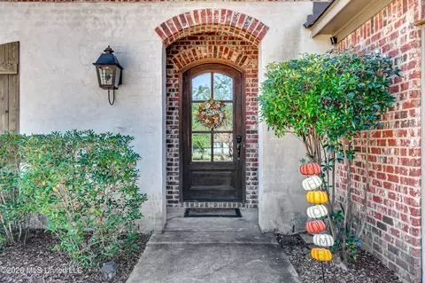 Entry Way - 233 Stonebridge Blvd, Brandon, MS 39042 photo 1 of 4
