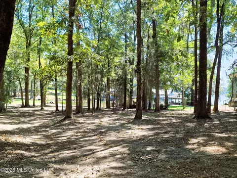 125 Shady Ln, Madison, MS 39110 photo 8