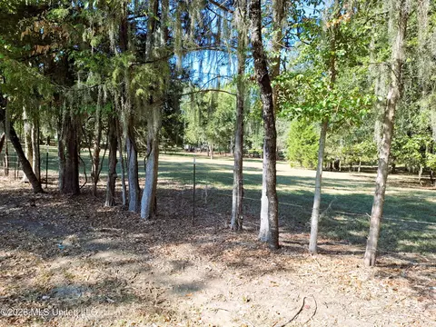 125 Shady Ln, Madison, MS 39110 photo 17