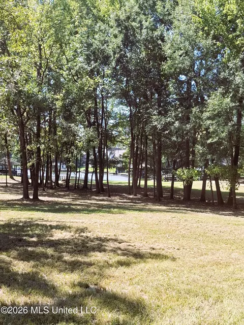 125 Shady Ln, Madison, MS 39110 photo 7