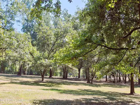 125 Shady Ln, Madison, MS 39110 photo 14