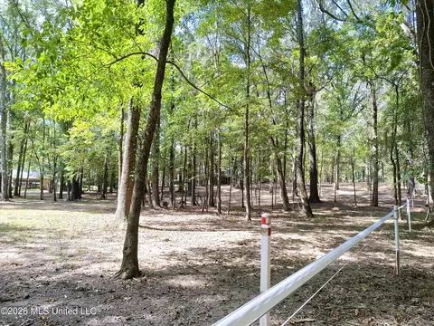 125 Shady Ln, Madison, MS 39110 photo 12