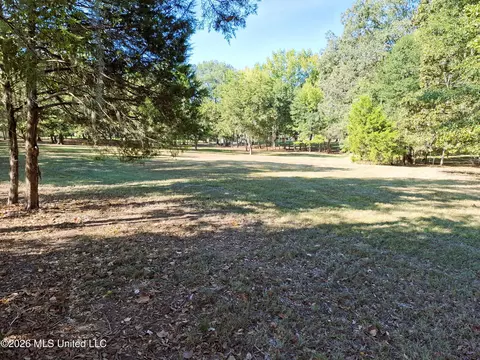 125 Shady Ln, Madison, MS 39110 photo 15