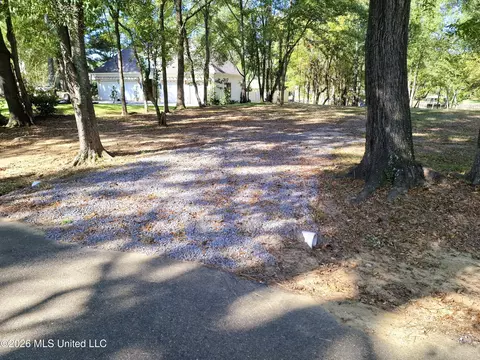 123 Shady Ln, Madison, MS 39110 photo 3