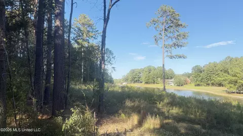 102 Cedar Ridge Dr, Canton, MS 39046 photo 8