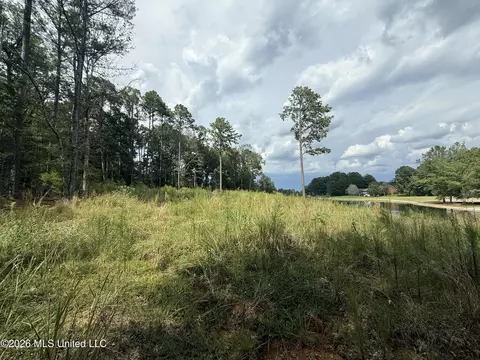 102 Cedar Ridge Dr, Canton, MS 39046 photo 3