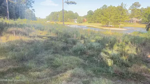 102 Cedar Ridge Dr, Canton, MS 39046 photo 7