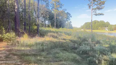 102 Cedar Ridge Dr, Canton, MS 39046 photo 6