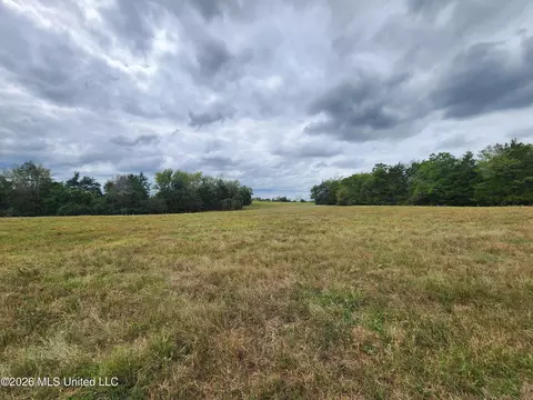 10 2 Old Memphis Oxford Rd, Coldwater, MS 38618 photo 4