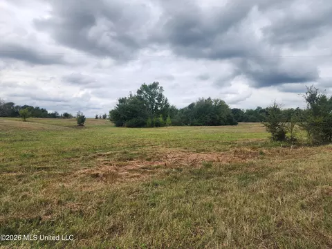 10 2 Old Memphis Oxford Rd, Coldwater, MS 38618 photo 5
