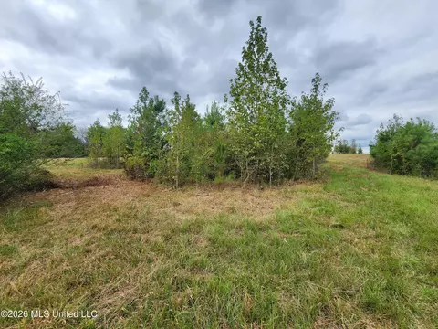 10 2 Old Memphis Oxford Rd, Coldwater, MS 38618 photo 9