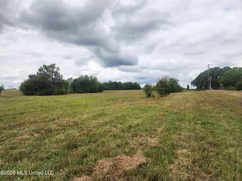10 2 Old Memphis Oxford Rd, Coldwater, MS 38618 photo 6