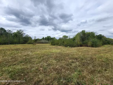 10 2 Old Memphis Oxford Rd, Coldwater, MS 38618 photo 8