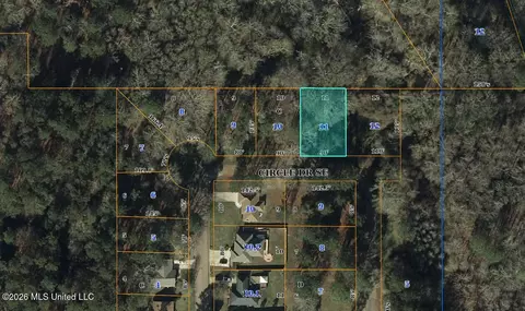 SE Circle Drive, Magee, MS 39111 photo 2