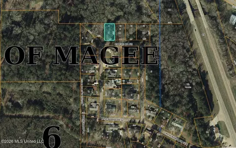 SE Circle Drive, Magee, MS 39111 photo 3