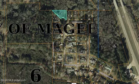 SE Circle Drive, Magee, MS 39111 photo 3