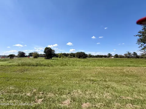 00 Union Rd, Picayune, MS 39466 photo 9